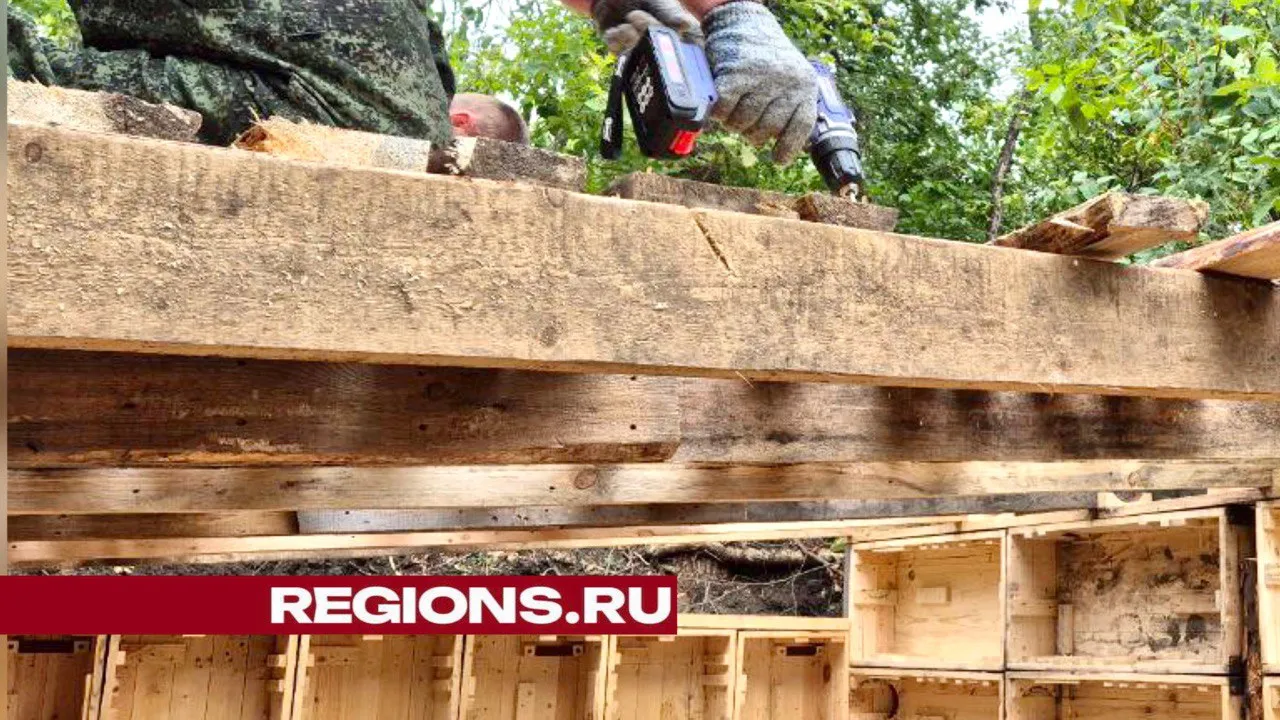 Фото: краснознаменское отделение «Боевое братство»