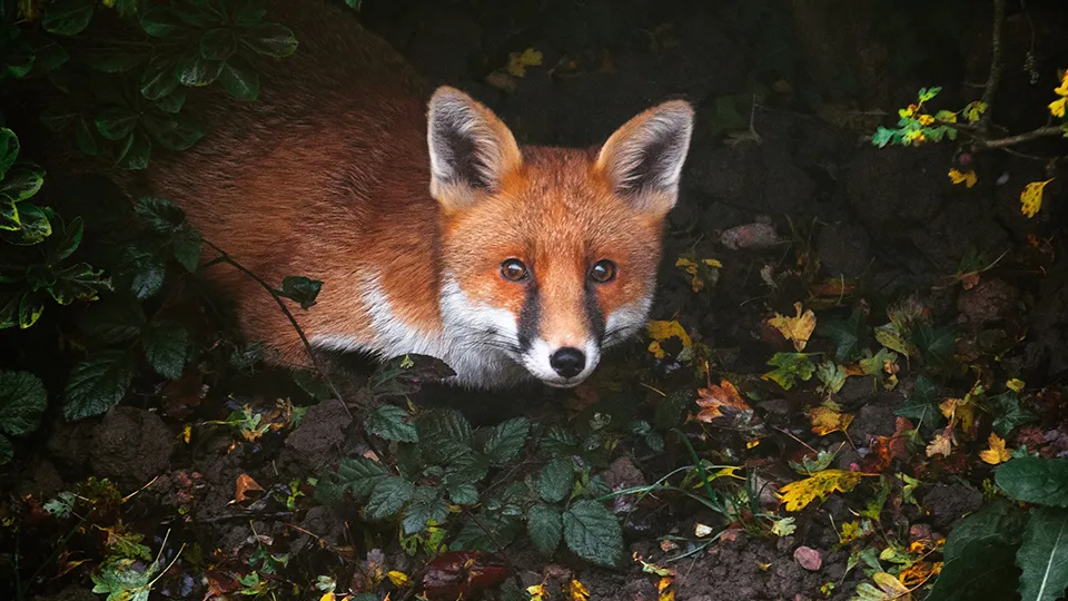 Фото: freepik.com