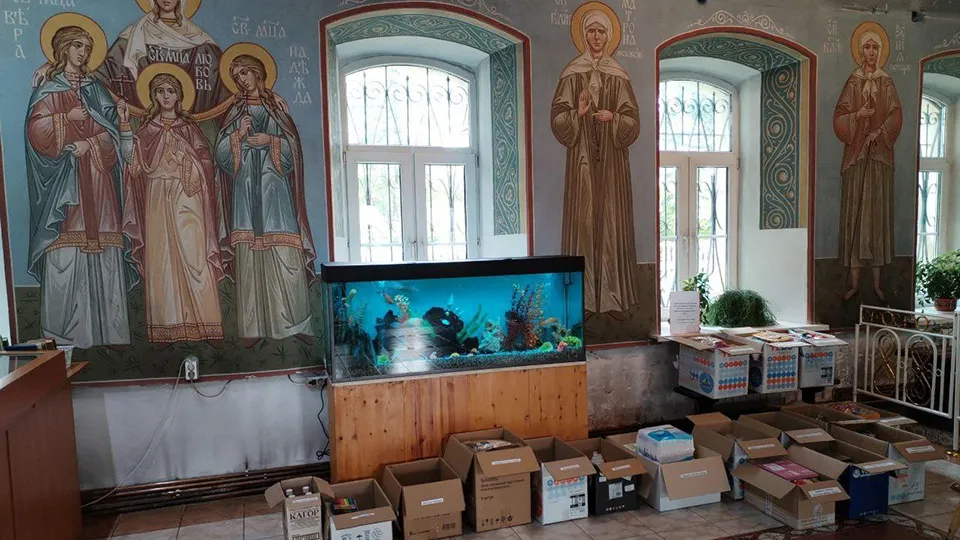 Фото: пресс-служба Администрации г.о. Дмитров