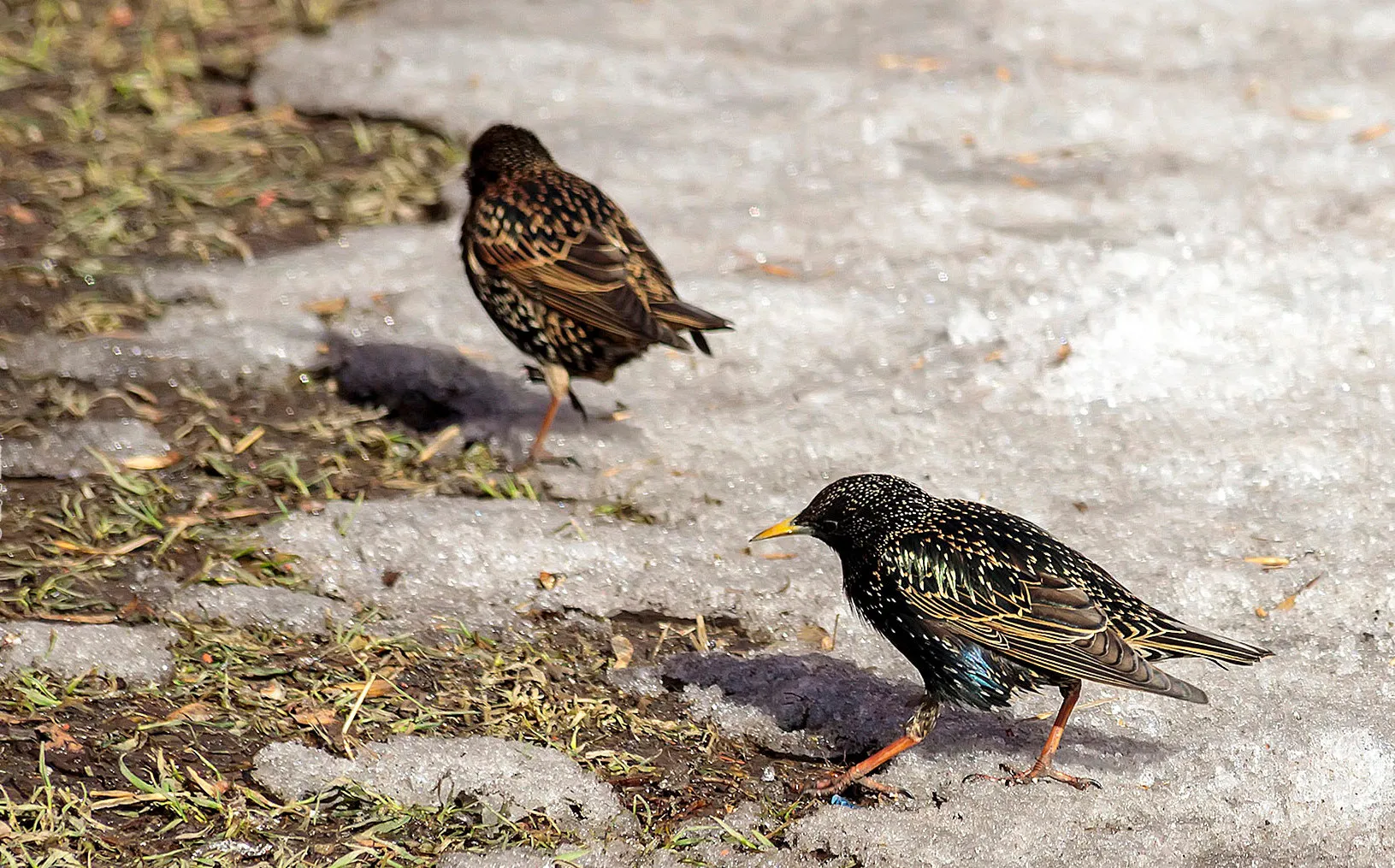 Фото: Соцсети