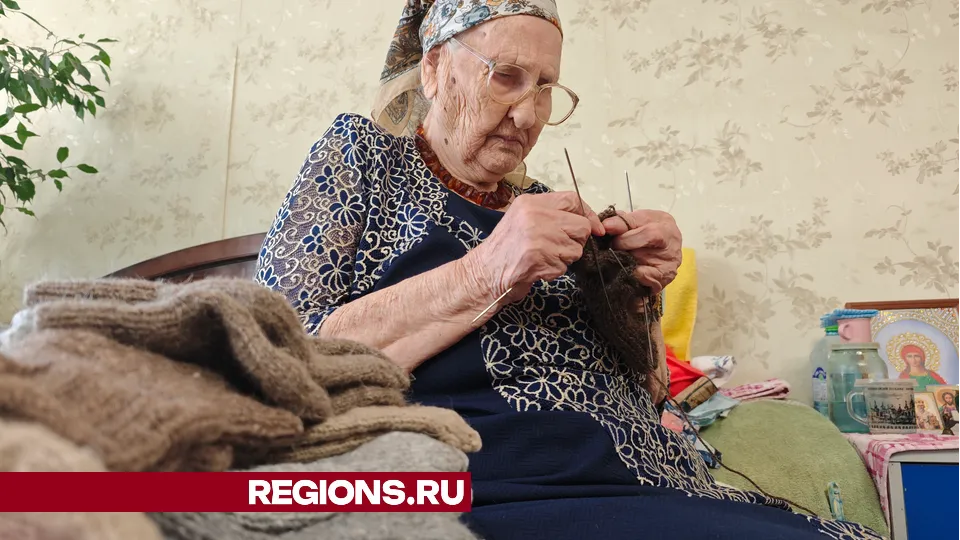 Фото: REGIONS/Дарья Кургузова