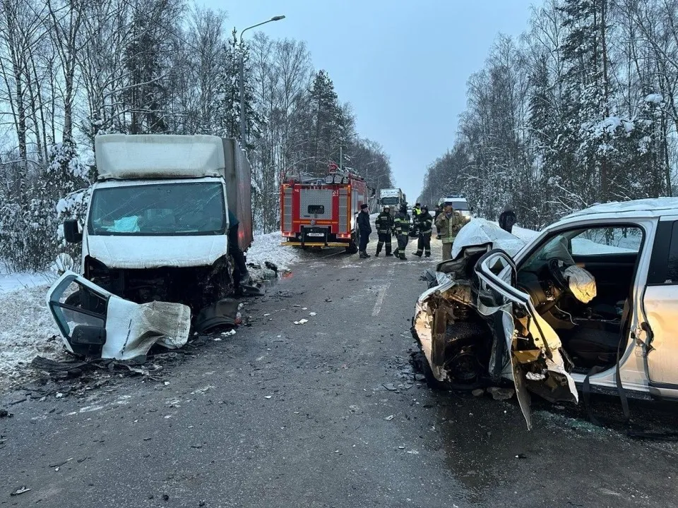 Фото: ГКУ МО «Мосооблпожспас»