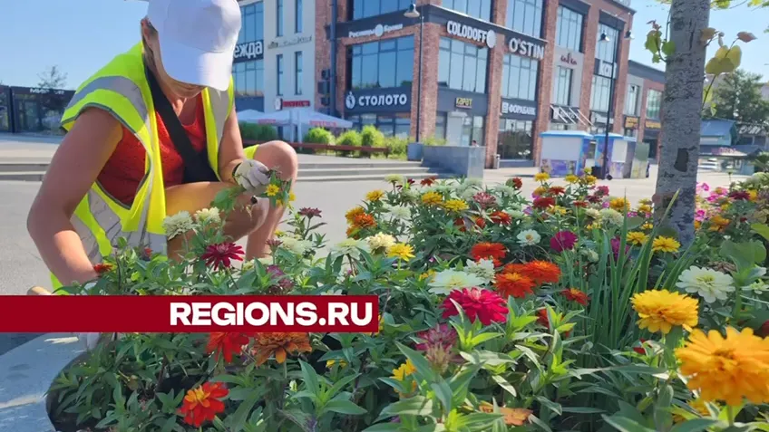 Фото: Светлана Борщева