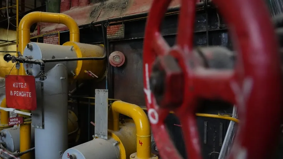 Фото: МедиаБанк Подмосковья/Дмитрий Зайчиков