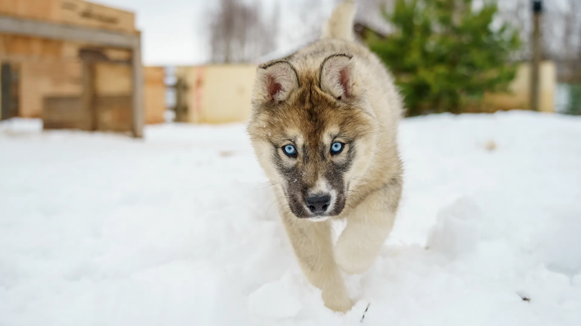 медиасток.рф