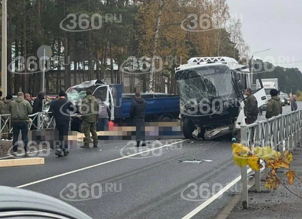 прокуратура Ленобласти