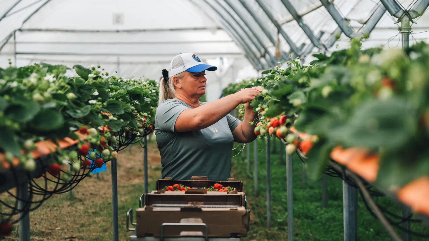 Фото: пресс-служба Администрации г.о. Щелково