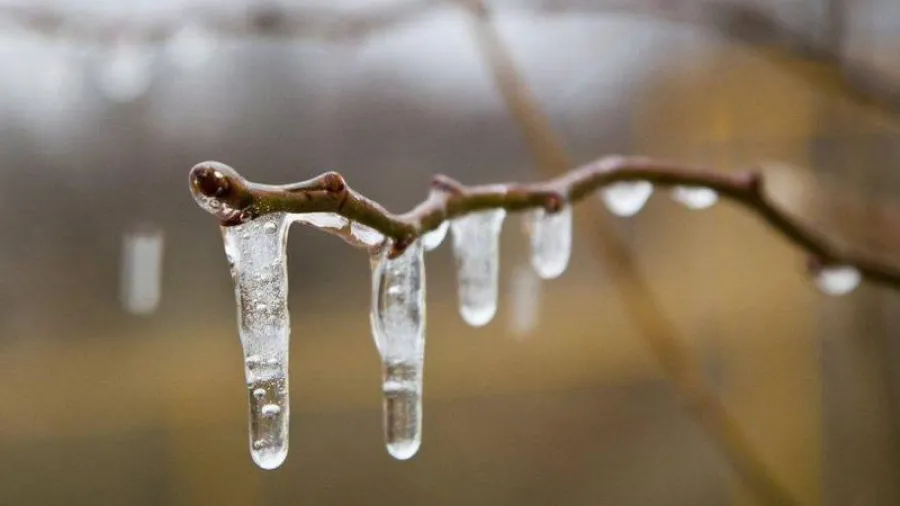 Фото: unsplash.com