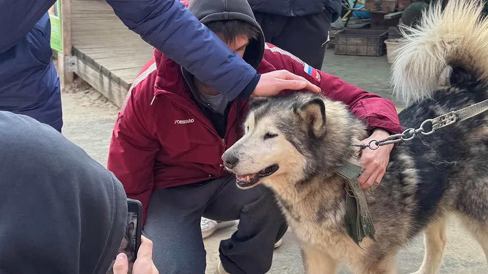 Фото: пресс-служба администрации г.о. Химки