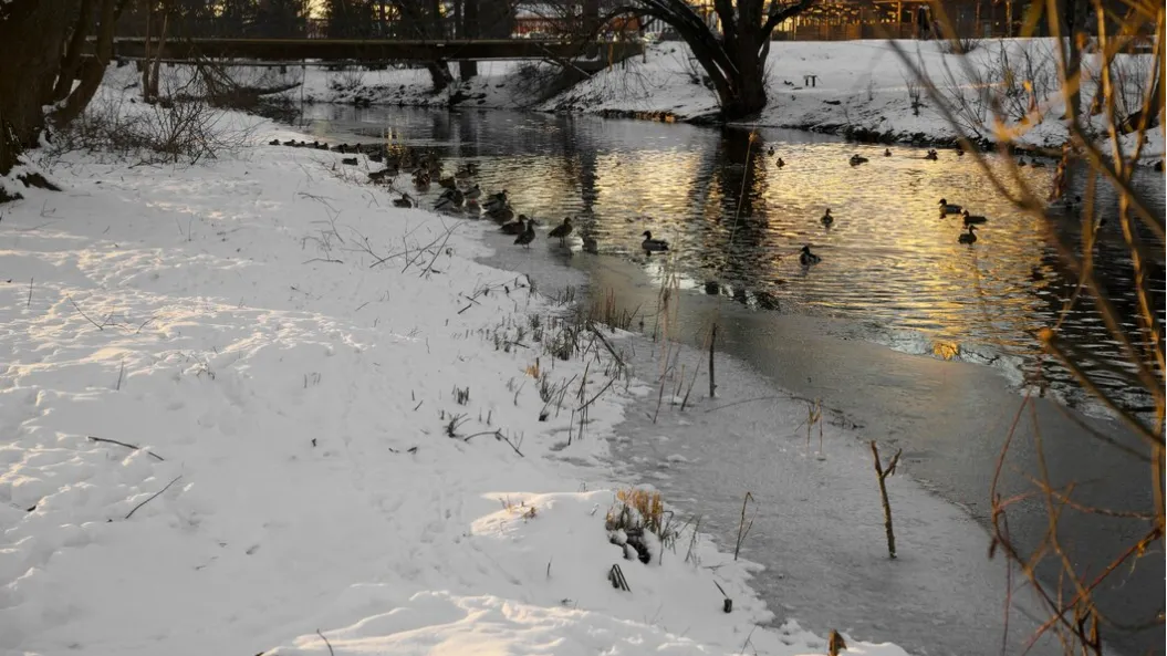 Источник: ru.freepik.com