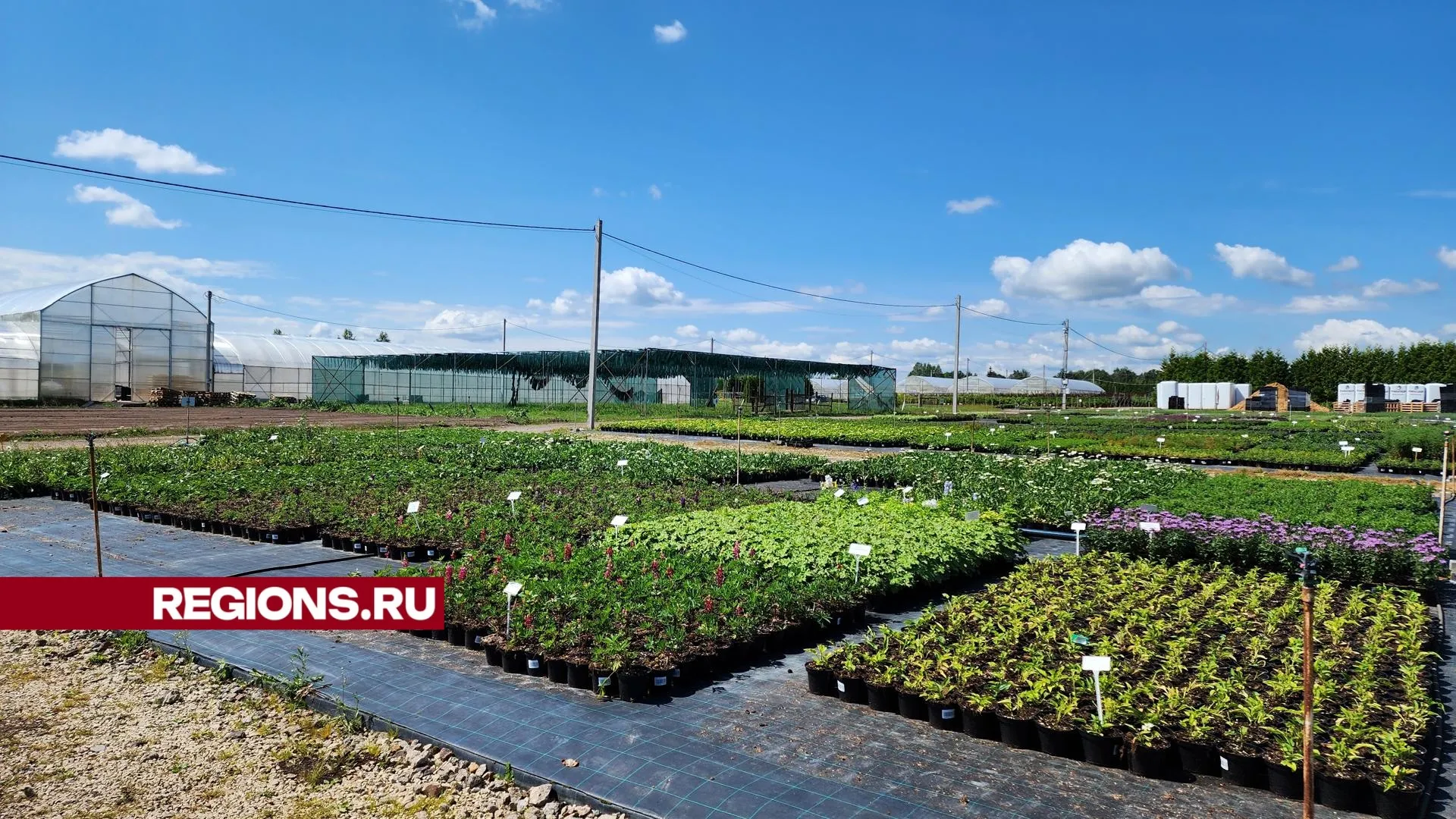 Фото: Иван Дубров