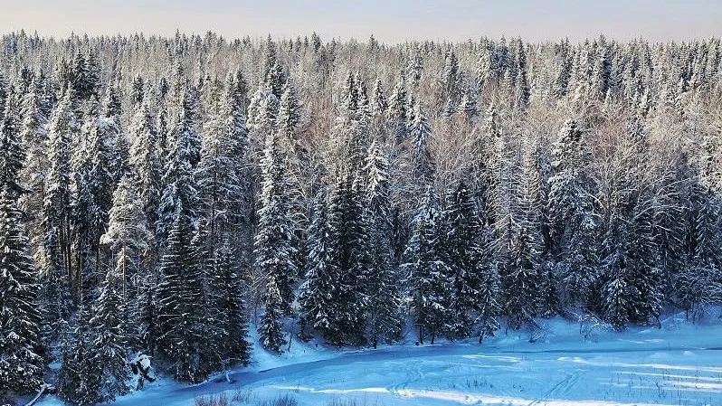 Фото: Министерство экологии и природопользования МО