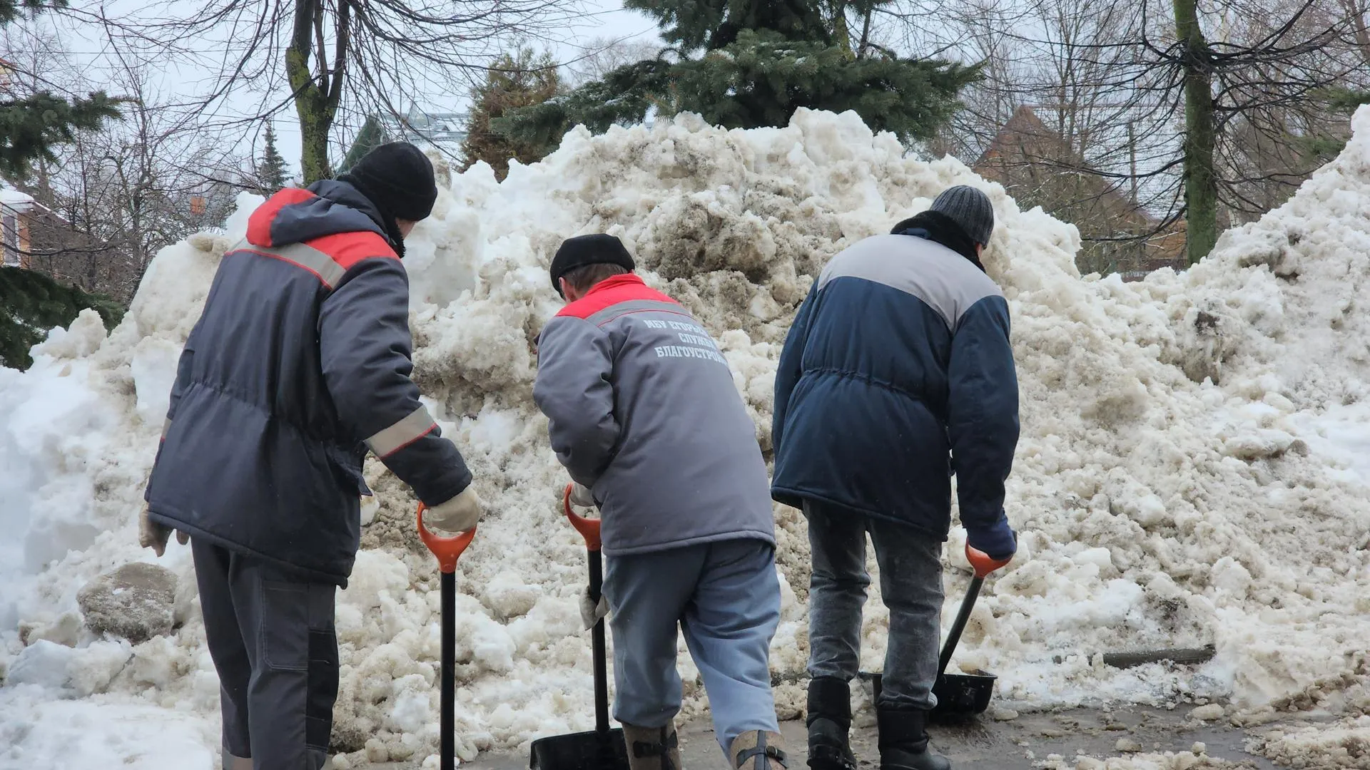 МедиаБанк Подмосковья/Юлия Андросова
