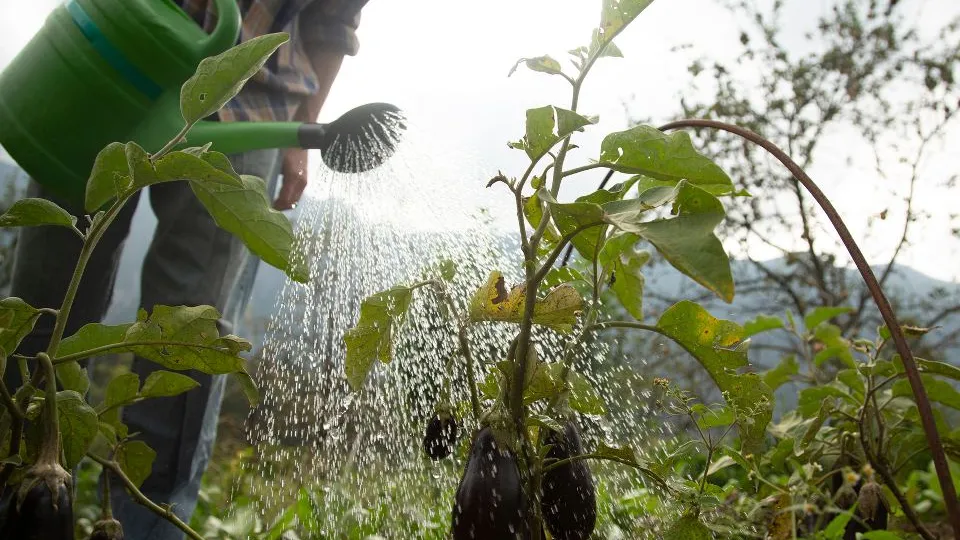 Фото: istockphoto.com