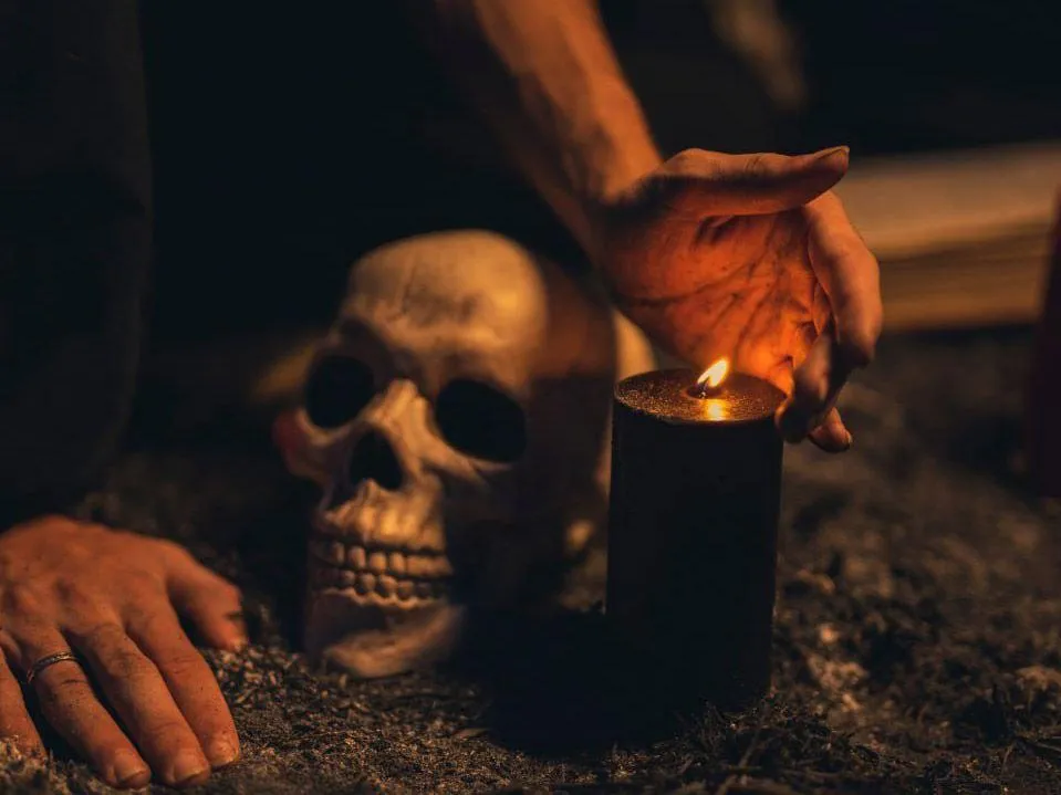 «Будут нападать на людей»: знаменитый медиум предсказала миру новую трагедию