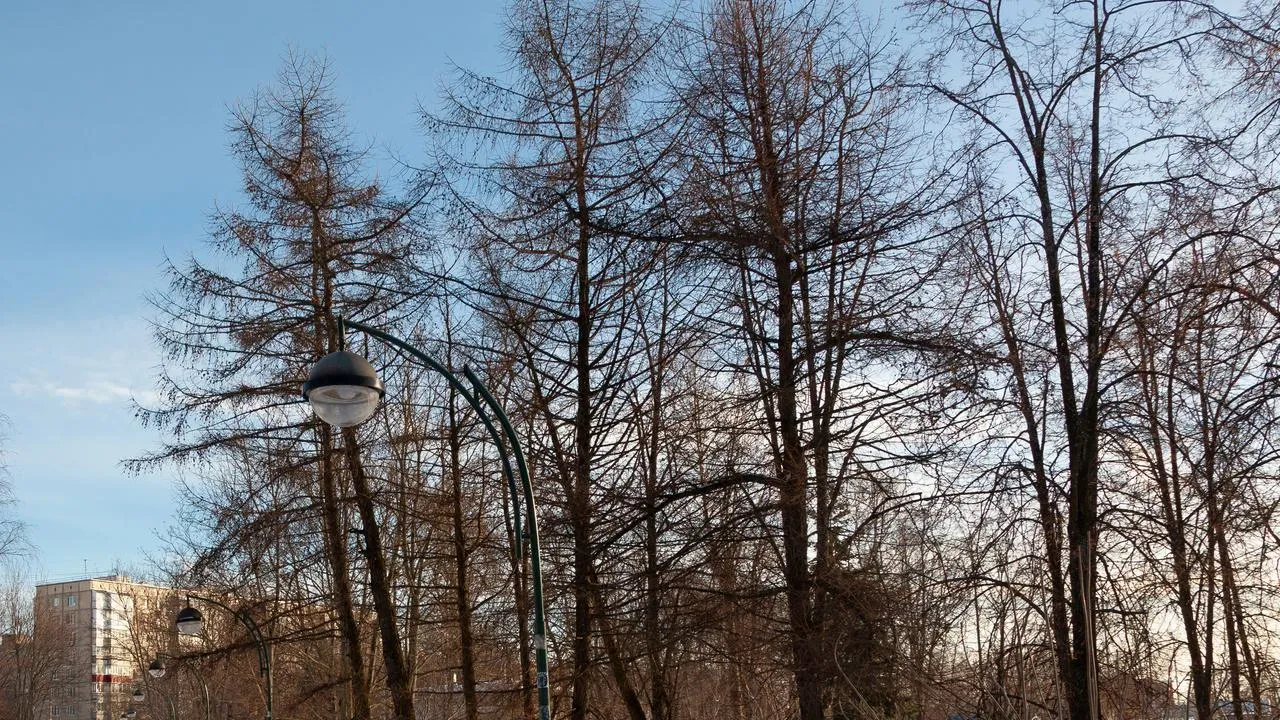 медиасток.рф