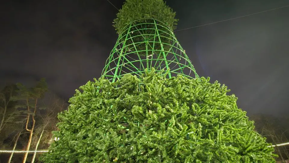 Фото: телеканал «Дубна»