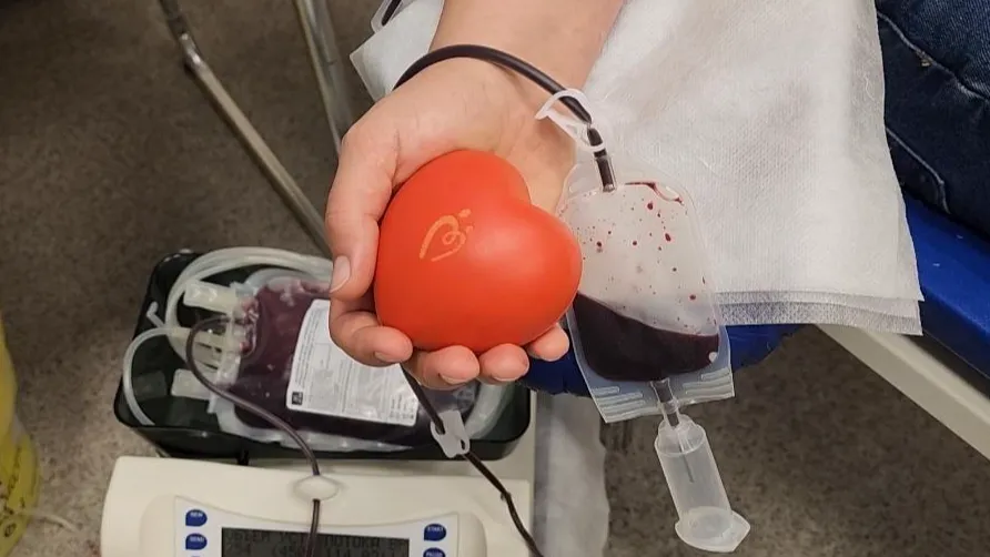 Фото: Светлана Плотникова