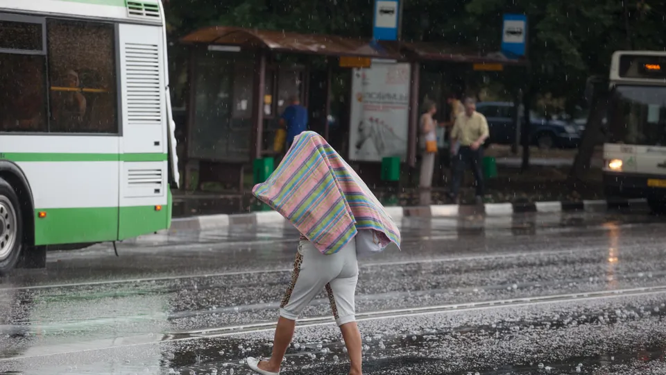 Фото: медиасток.рф