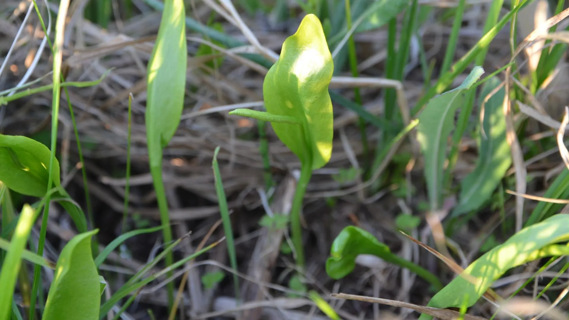 Фото: Минэкологии МО