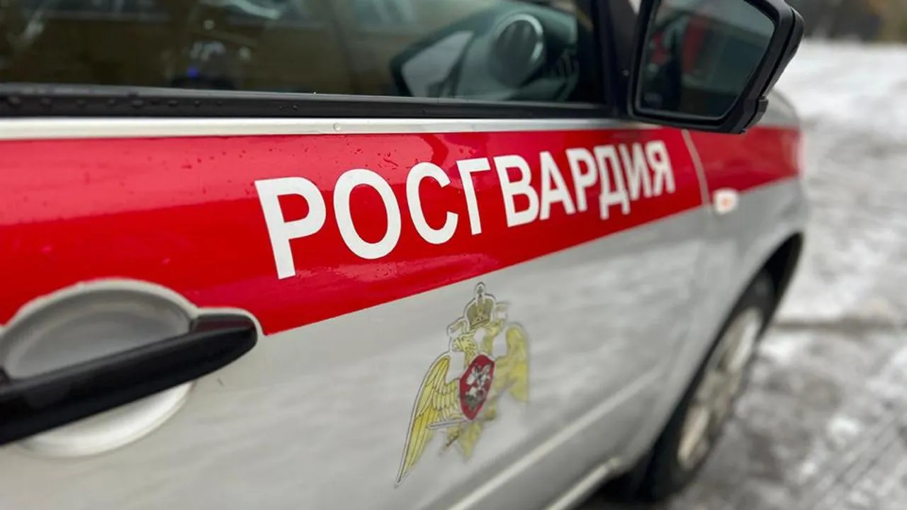 МедиаБанк Подмосковья/Евгения Герасимова