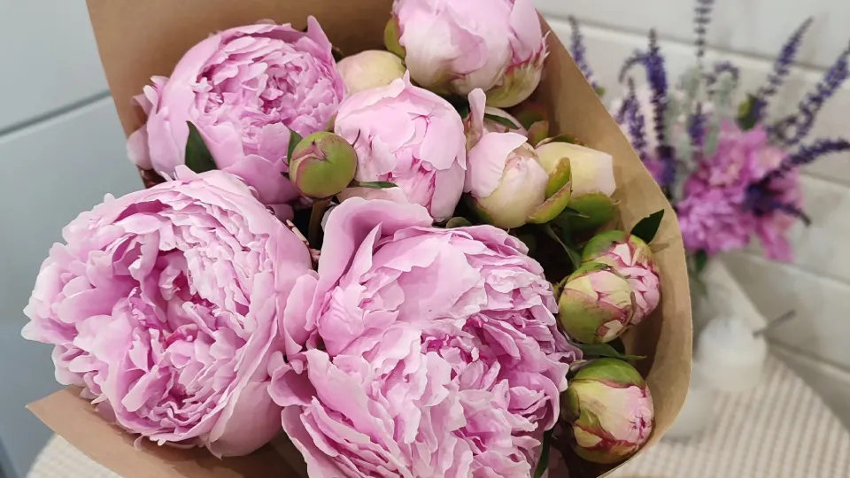 Фото: vk.com/Садоводы Егорьевска