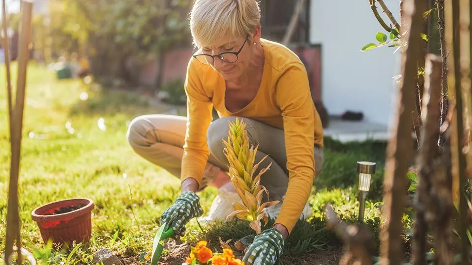 Фото: istockphoto.com
