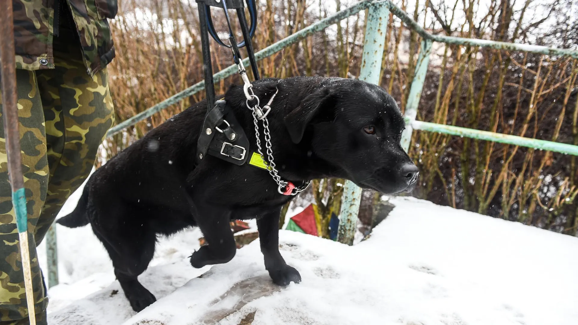 медиасток.рф