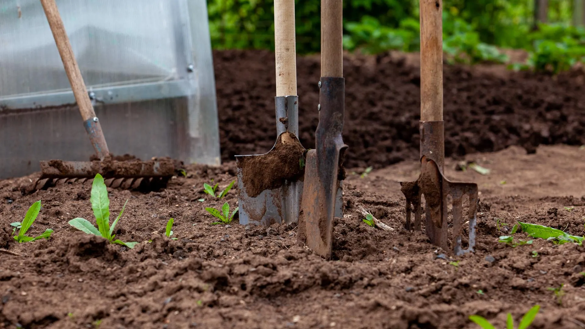 Oksana Korol/Business Online