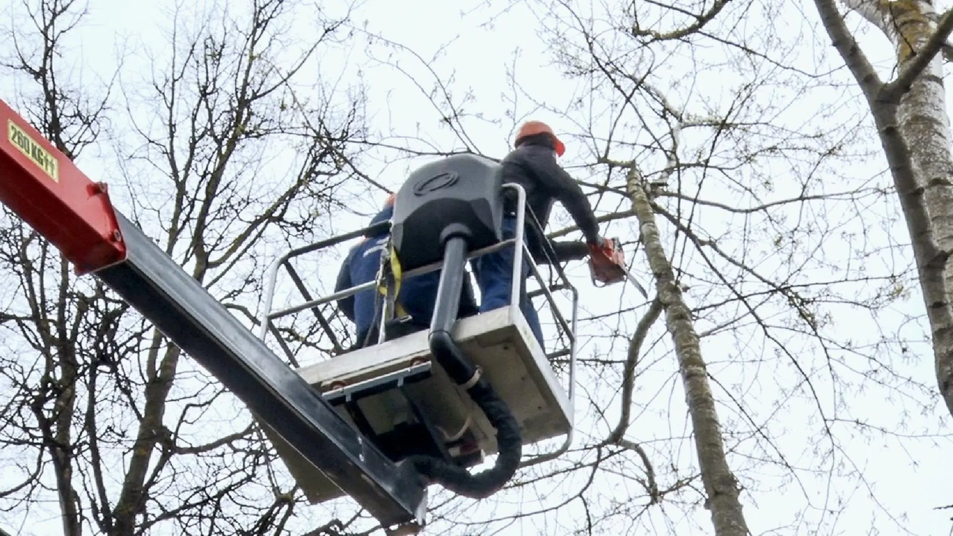 МедиаБанк Подмосковья/Данила Кирьянов