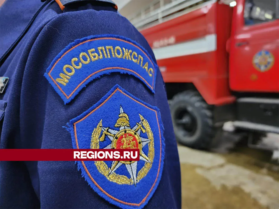 Фото: Валерия Тингаева