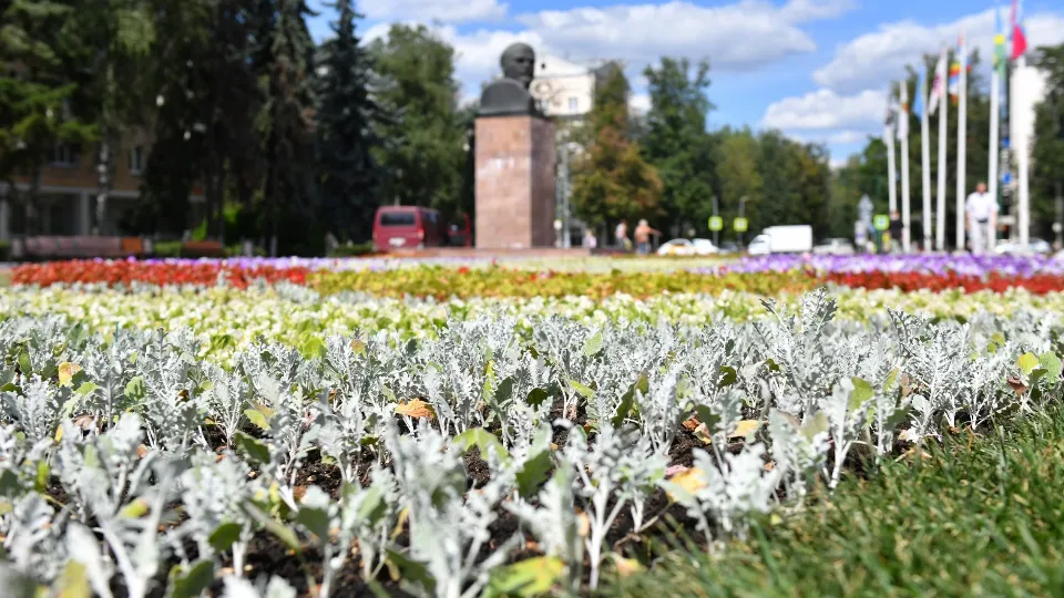 Фото: пресс-служба администрации г.о. Химки