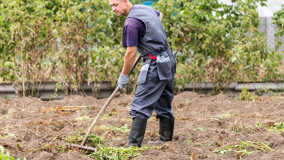 Фото: istockphoto.com/Evgeny Tkachev