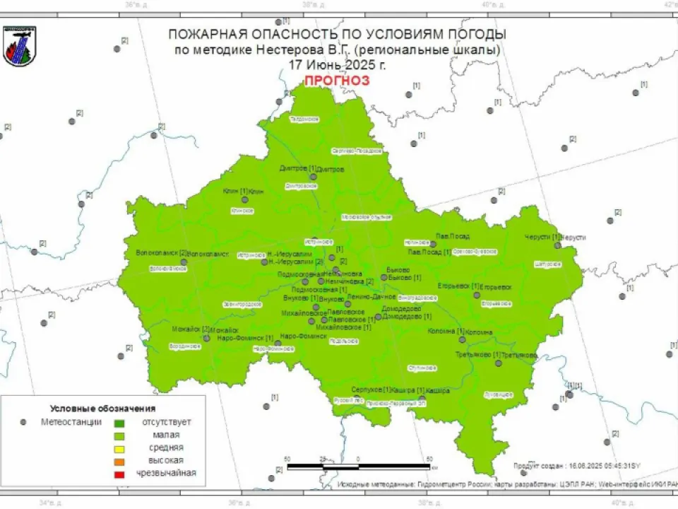 Фото: Комитет лесного хозяйства Московской области
