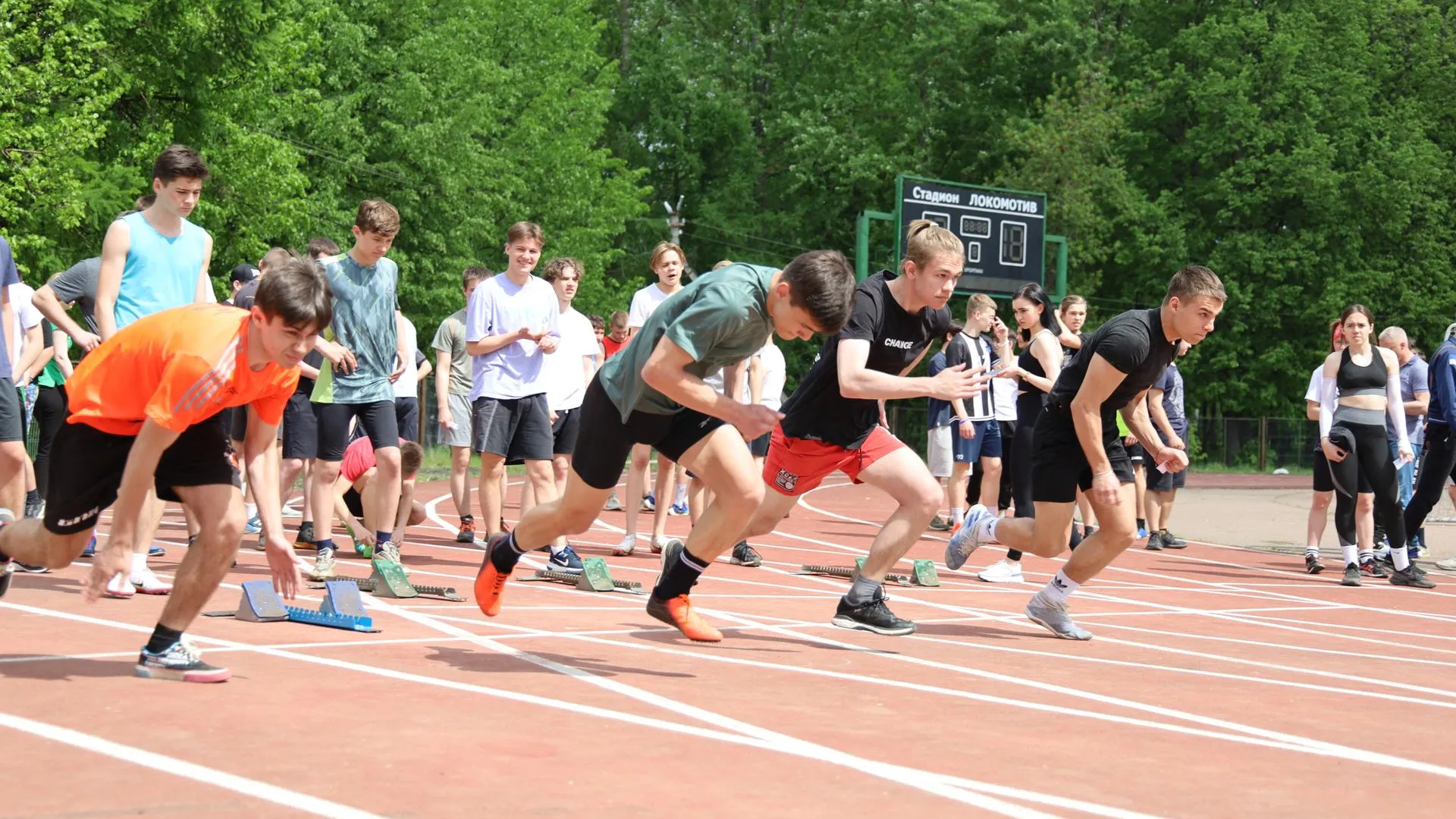 Фото Ольга Пятикрестовская.