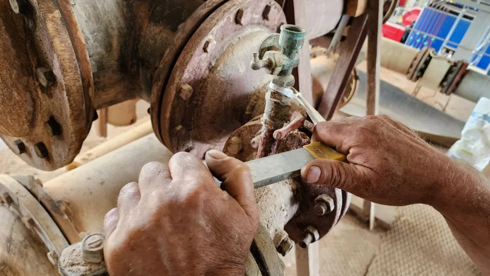 Фото: МедиаБанк Подмосковья/Елена Лабзина