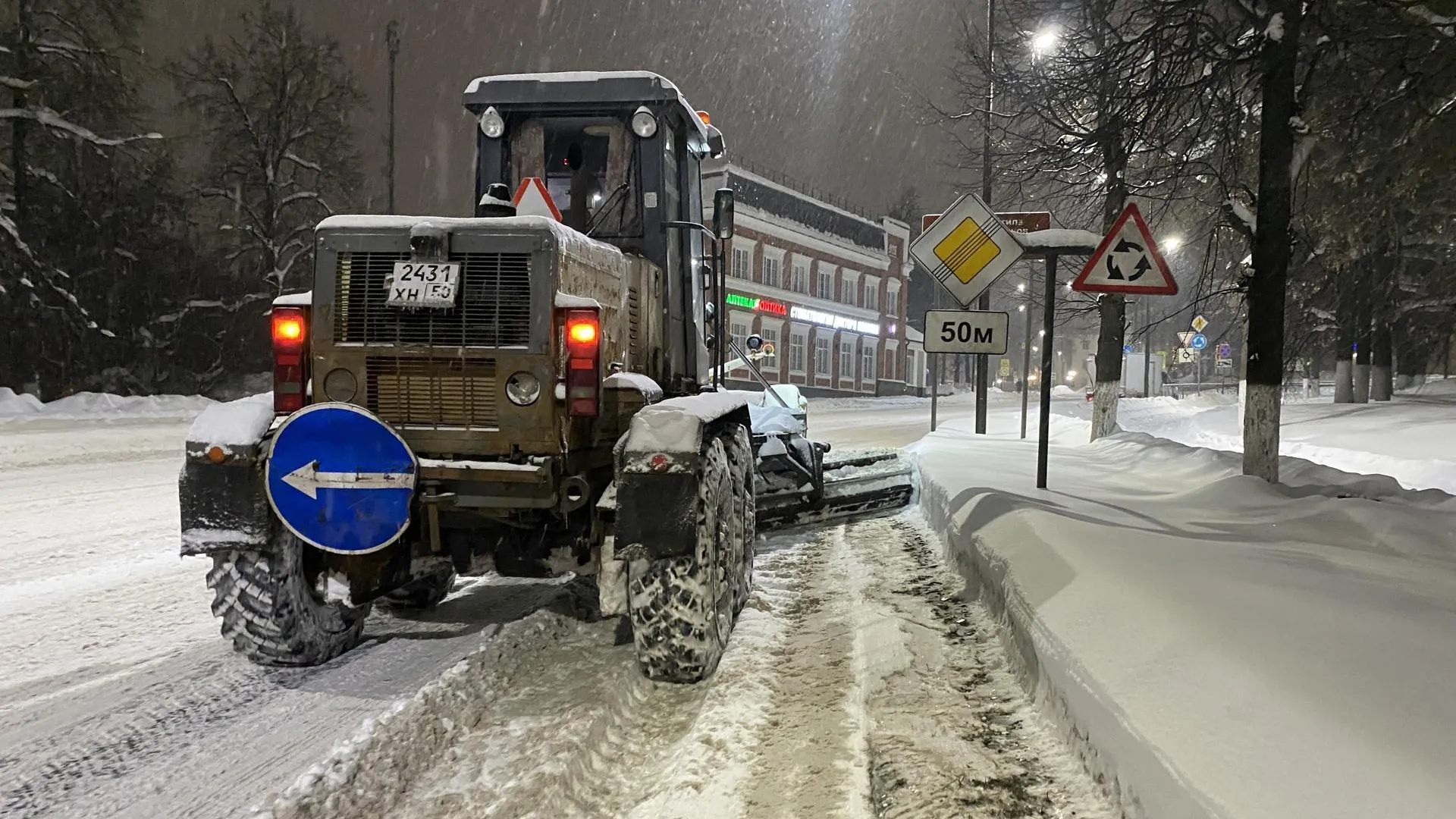 Анна Артюшина