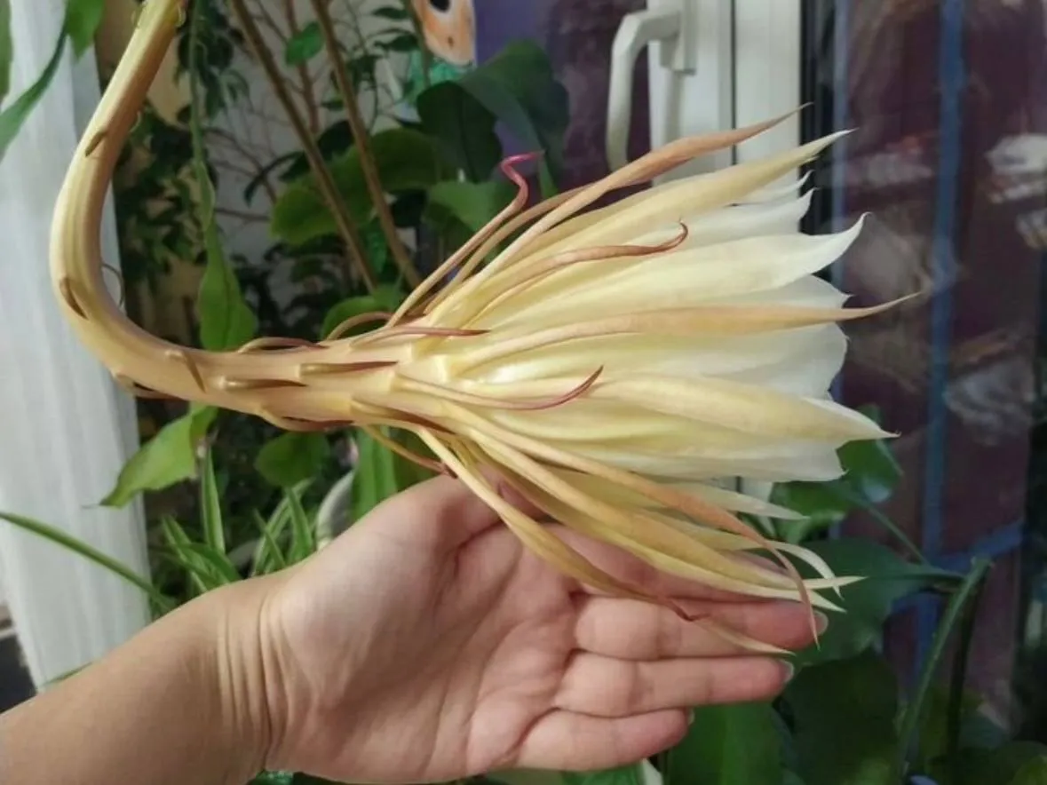 Фото: городская доска объявлений&nbsp;