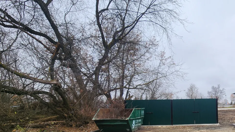 Фото: МедиаБанк Подмосковья/Марина Анисимова