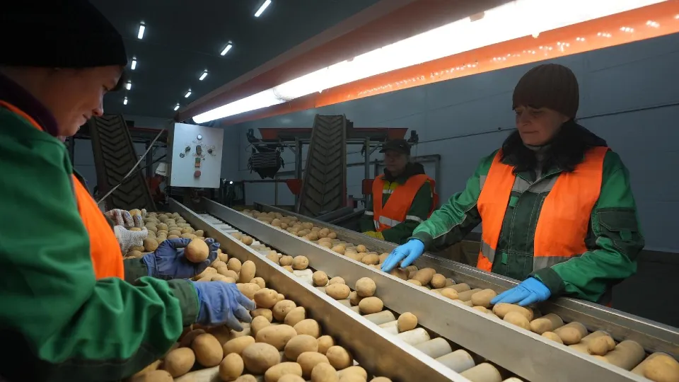 Фото: пресс-служба губернатора и правительства МО