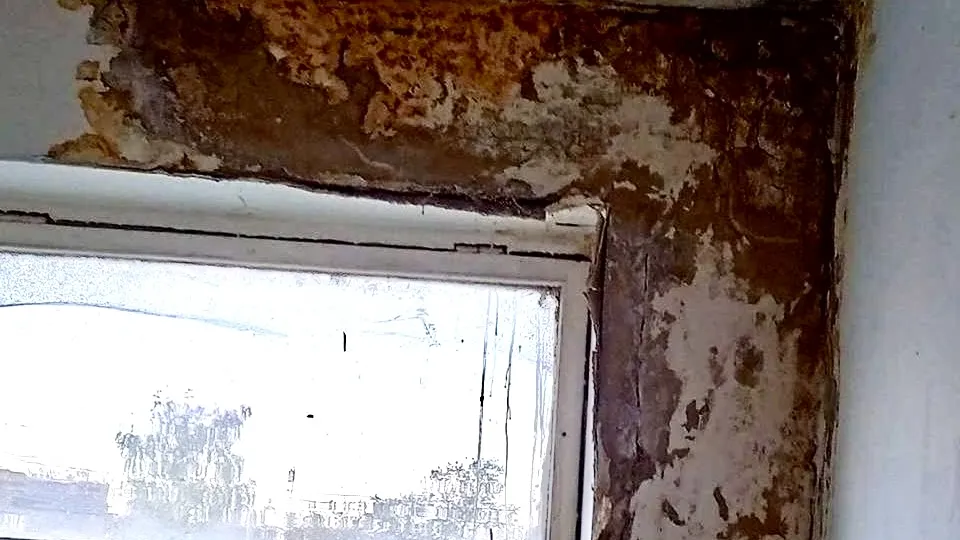 Фото: «Типичная Шатура»