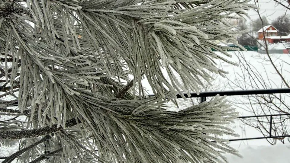 Фото: REGIONS/Роман Малышенко