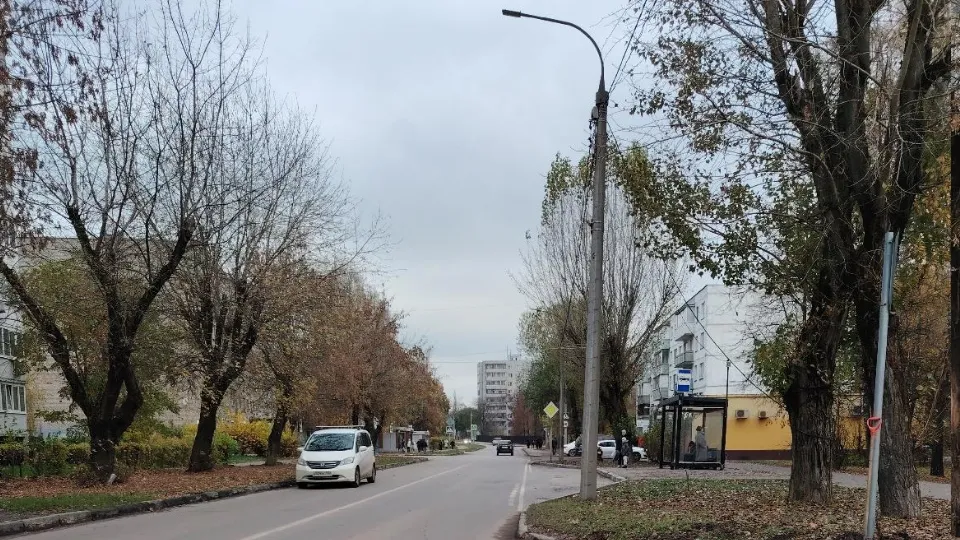 Фото: пресс-служба администрации г.о. Лосино-Петровский