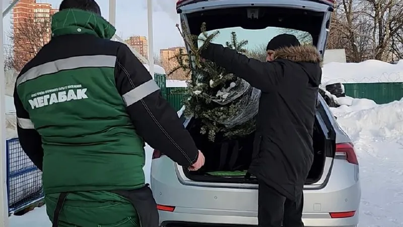 Фото: МедиаБанк Подмосковья/Валерия Ерофеева