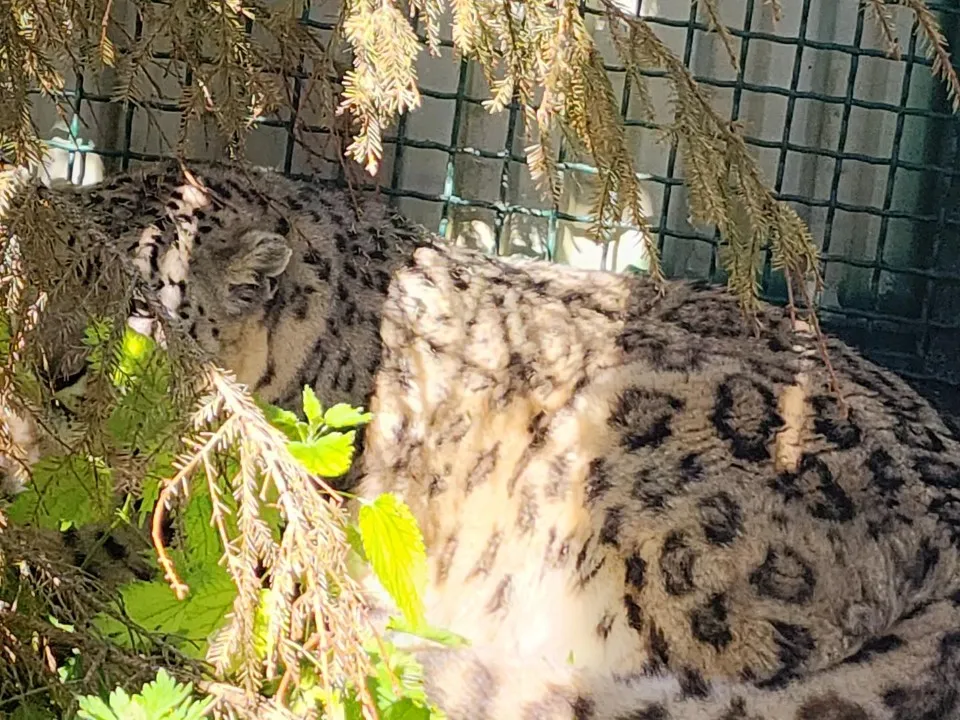 Фото: Дмитрий Беденко