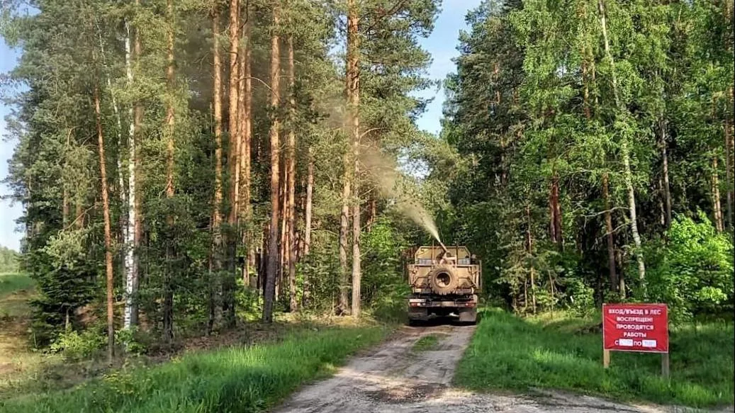 Фото: Комитет лесного хозяйства МО