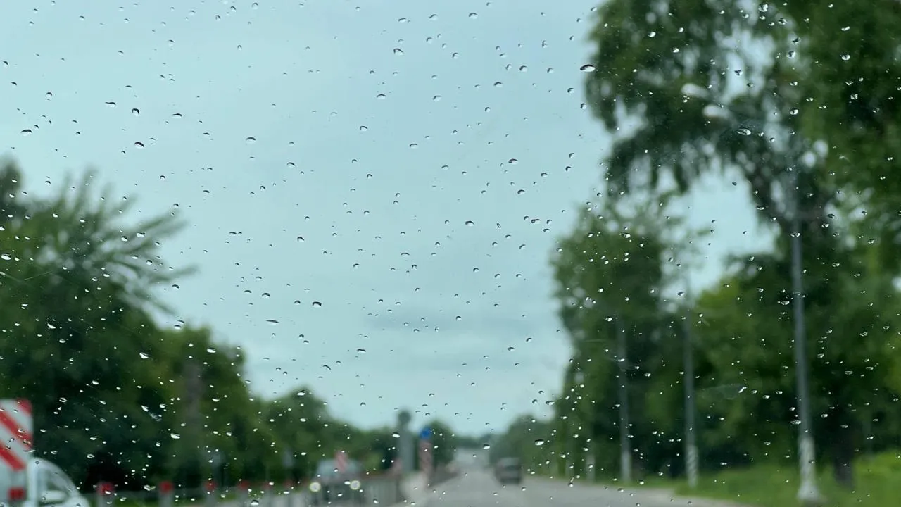 Фото: Минтранс Подмосковья