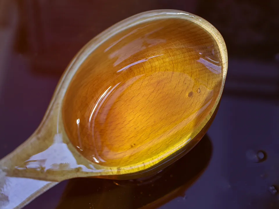 Фото: ТАСС/Артем Геодакян