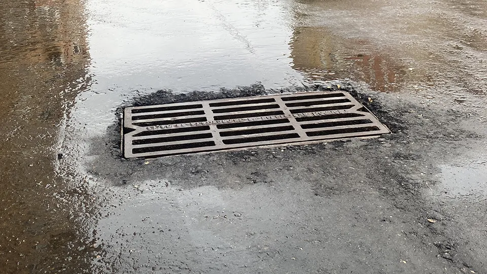 Фото: МедиаБанк Подмосковья/Елена Аботурова