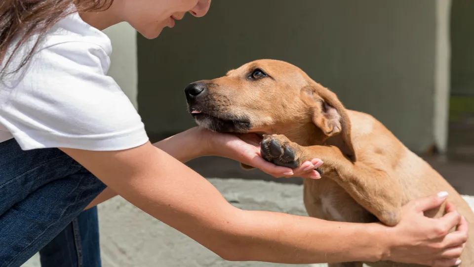 Фото: freepik.com